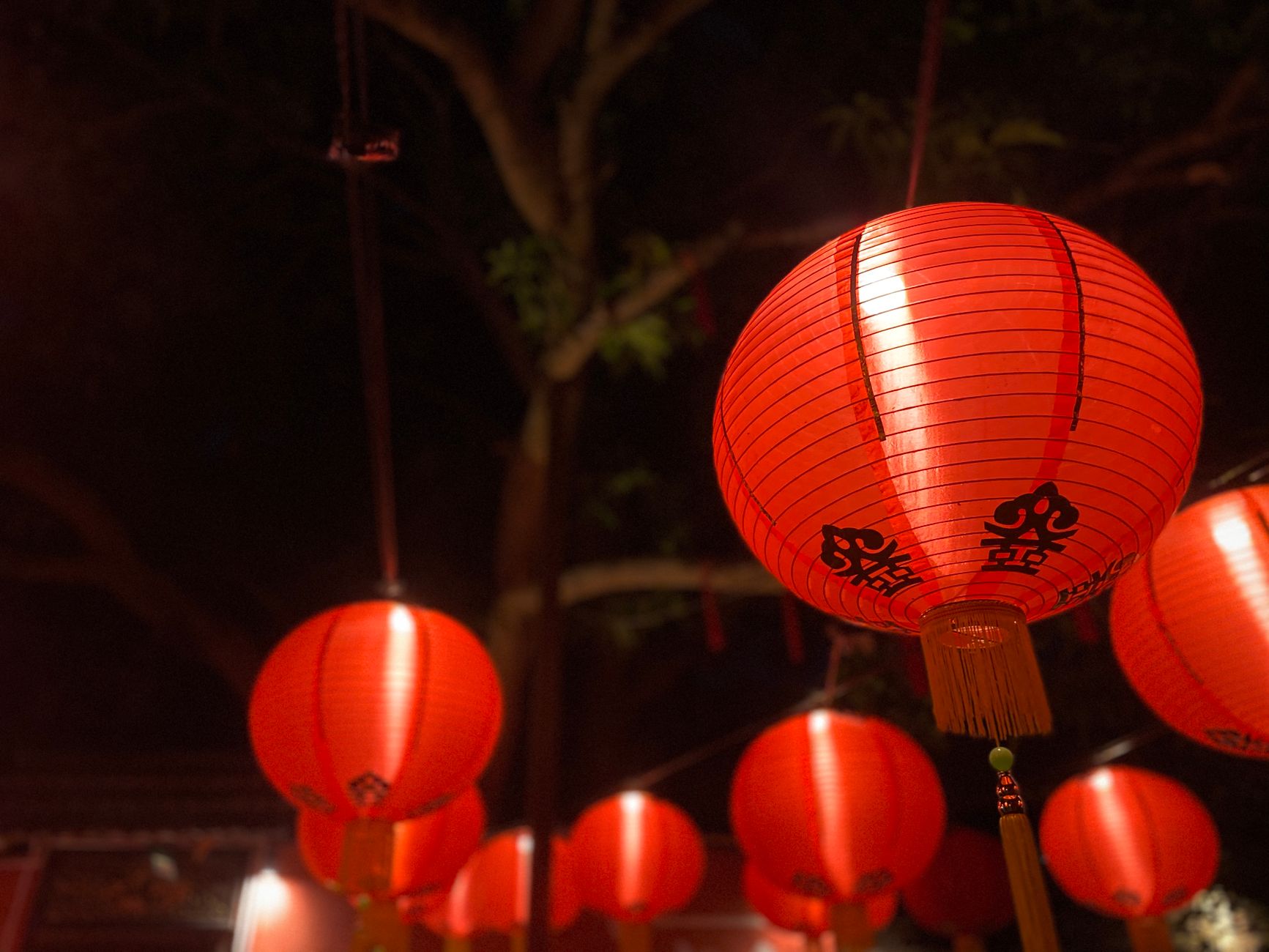 Glowing red paper lanterns strung above a George Town street at night